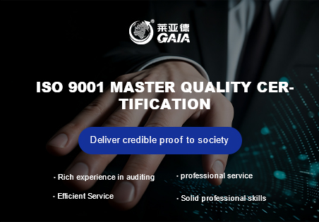 ISO 9001 master quality certification.jpg