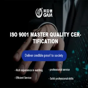 ISO 9001 master quality certification