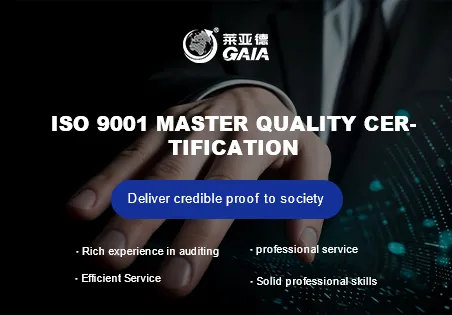 ISO 9001 master quality certification