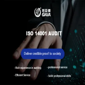ISO 14001 audit