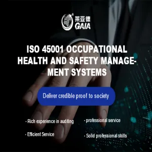 ISO 45001 occupational health and safety management systems