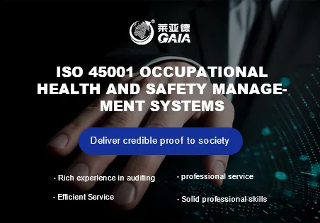ISO 45001 occupational health and safety management systems