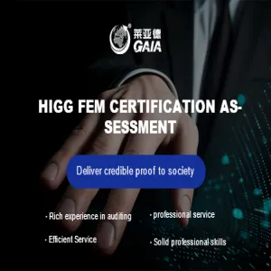 HIGG FEM certification assessment