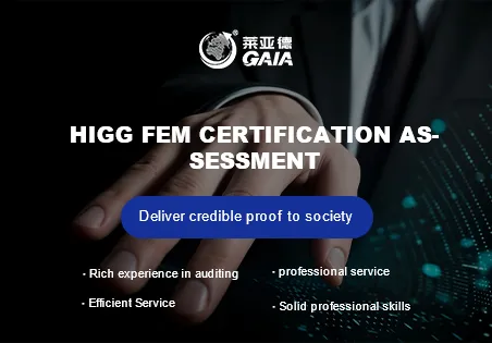 HIGG FEM certification assessment