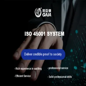 ISO 45001 system