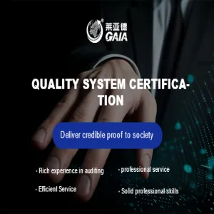 Quality system certification