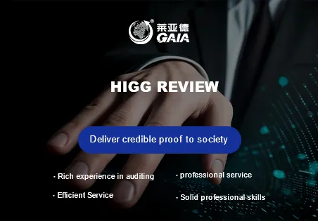 HIGG review