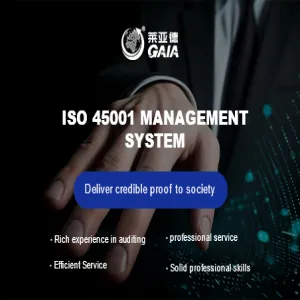ISO 45001 management system
