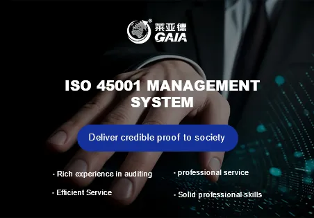 ISO 45001 management system