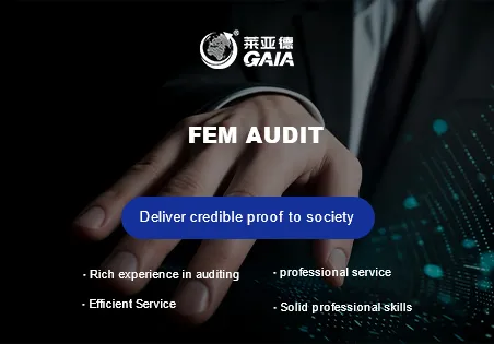 FEM audit