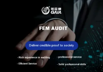 FEM audit