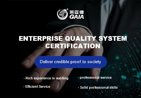 Enterprise quality system certification