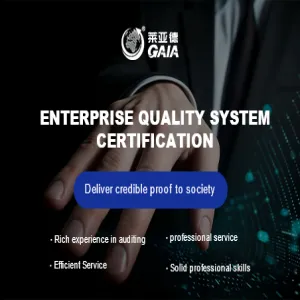 Enterprise quality system certification