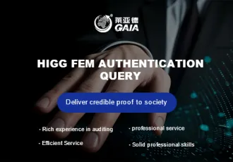 HIGG FEM authentication query