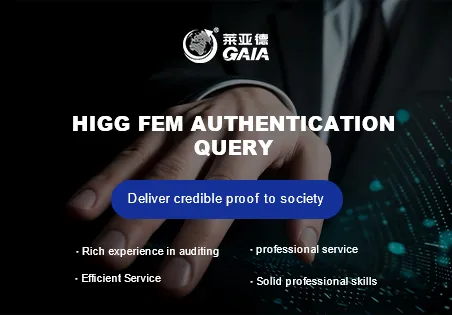 HIGG FEM authentication query