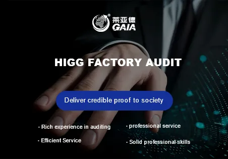 Higg factory audit