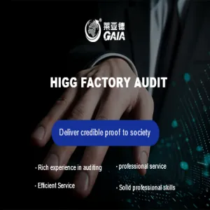 Higg factory audit