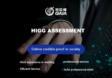 HIGG assessment