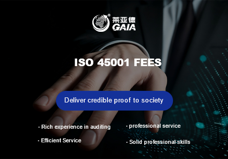 ISO 45001 fees.jpg