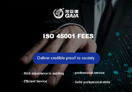 ISO 45001 fees