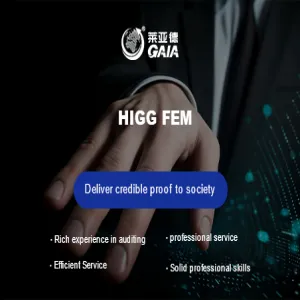 HIGG FEM