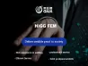 HIGG FEM