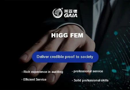 HIGG FEM
