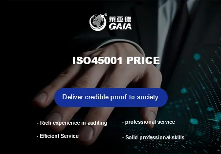 ISO45001 price