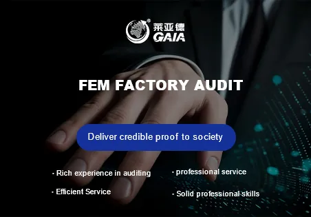FEM factory audit