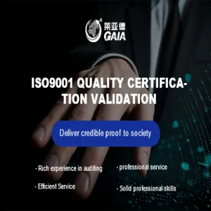 ISO9001 quality certification validation