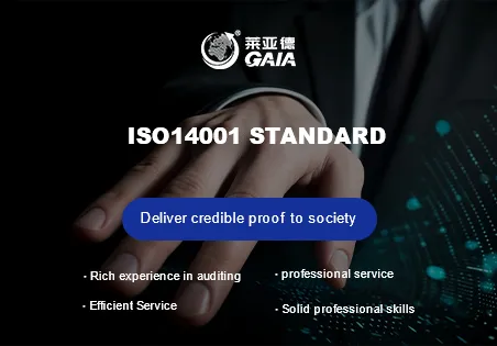 ISO14001 standard