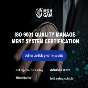 ISO 9001 quality management system certification