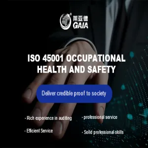 ISO 45001 occupational health and safety