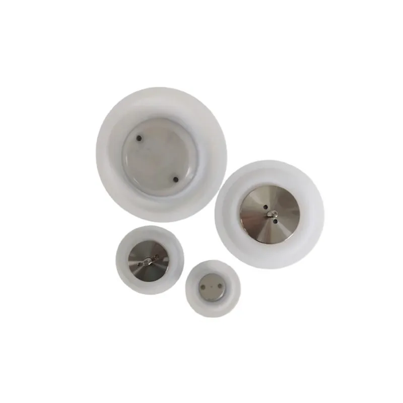 High-temperature and corrosion-resistant PTFE diaphragm