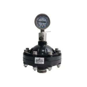Pulsation Dampener for Fluid System