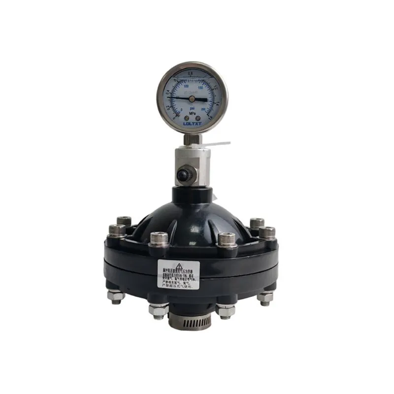 Pulsation Dampener for Fluid System