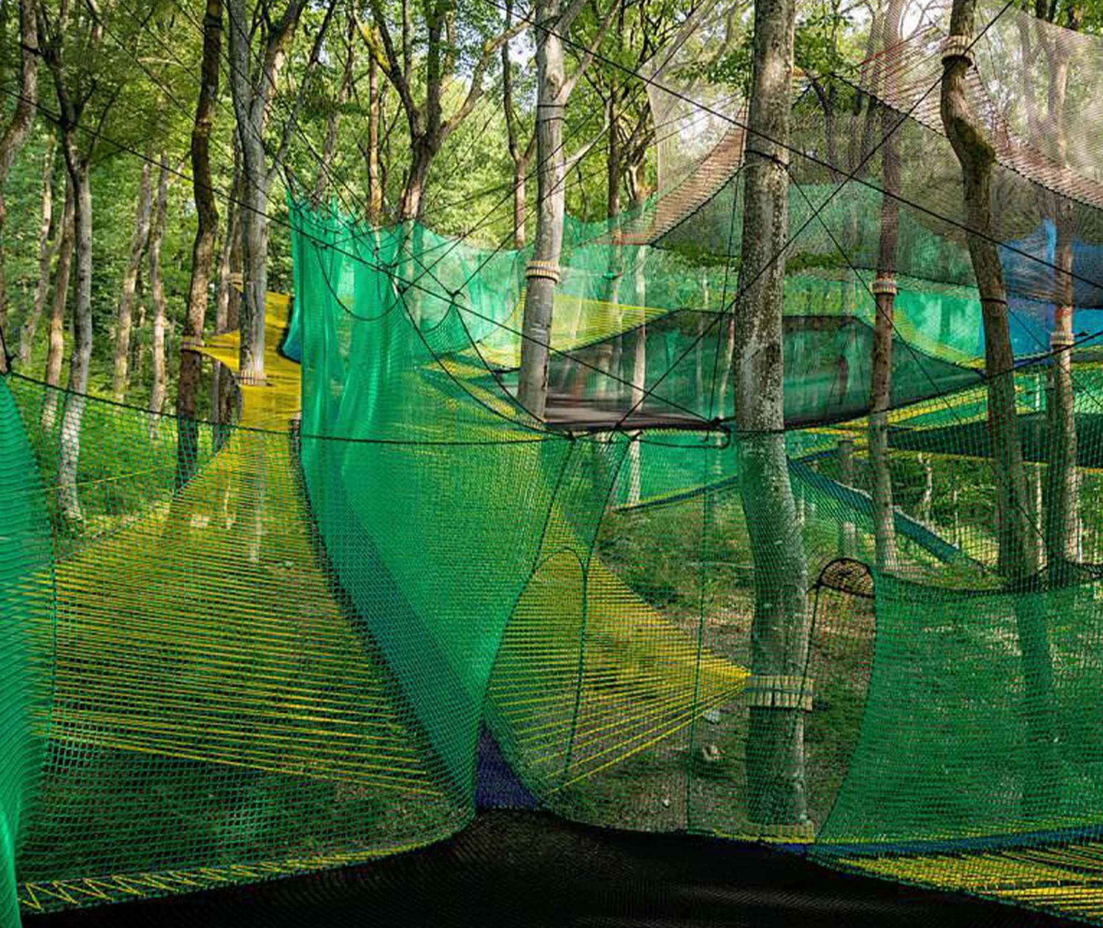 The Jungle Web Series