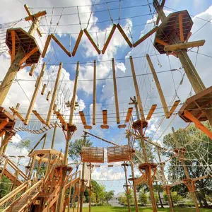 Fearless Challenge High Altitude Adventure Equipment for Outdoor Team Building