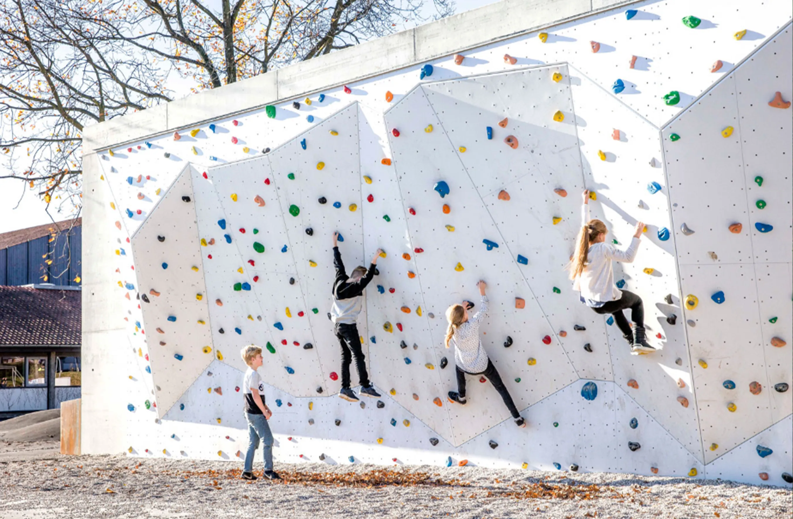 Commercial-grade rock climbing facilities suitable for both children and adults