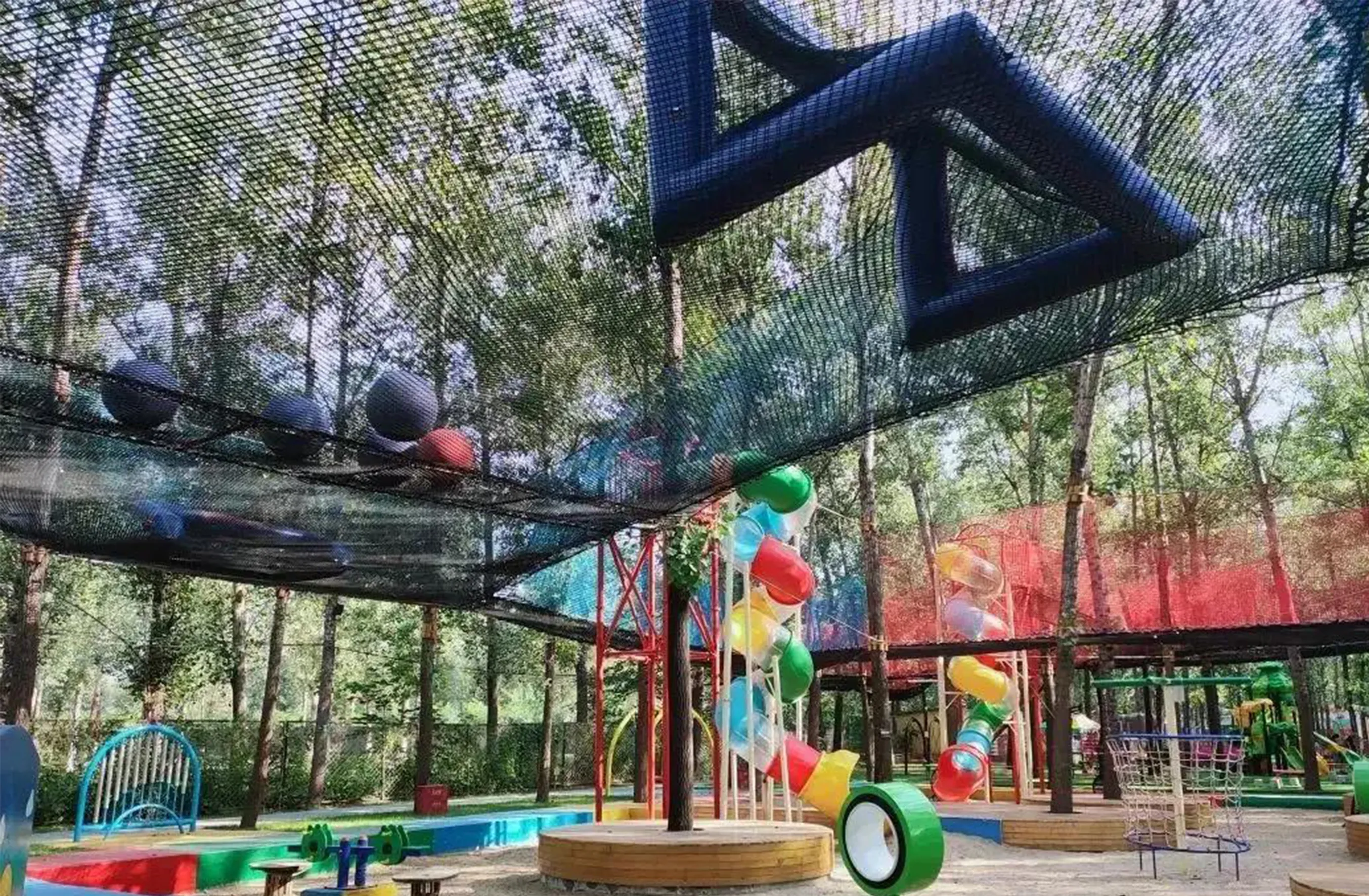 Quality Jungle Web Products for Personal & Business Use