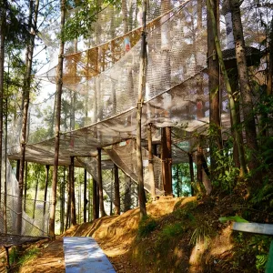 Safe Jungle Magic Net Maze for Forest Playgrounds