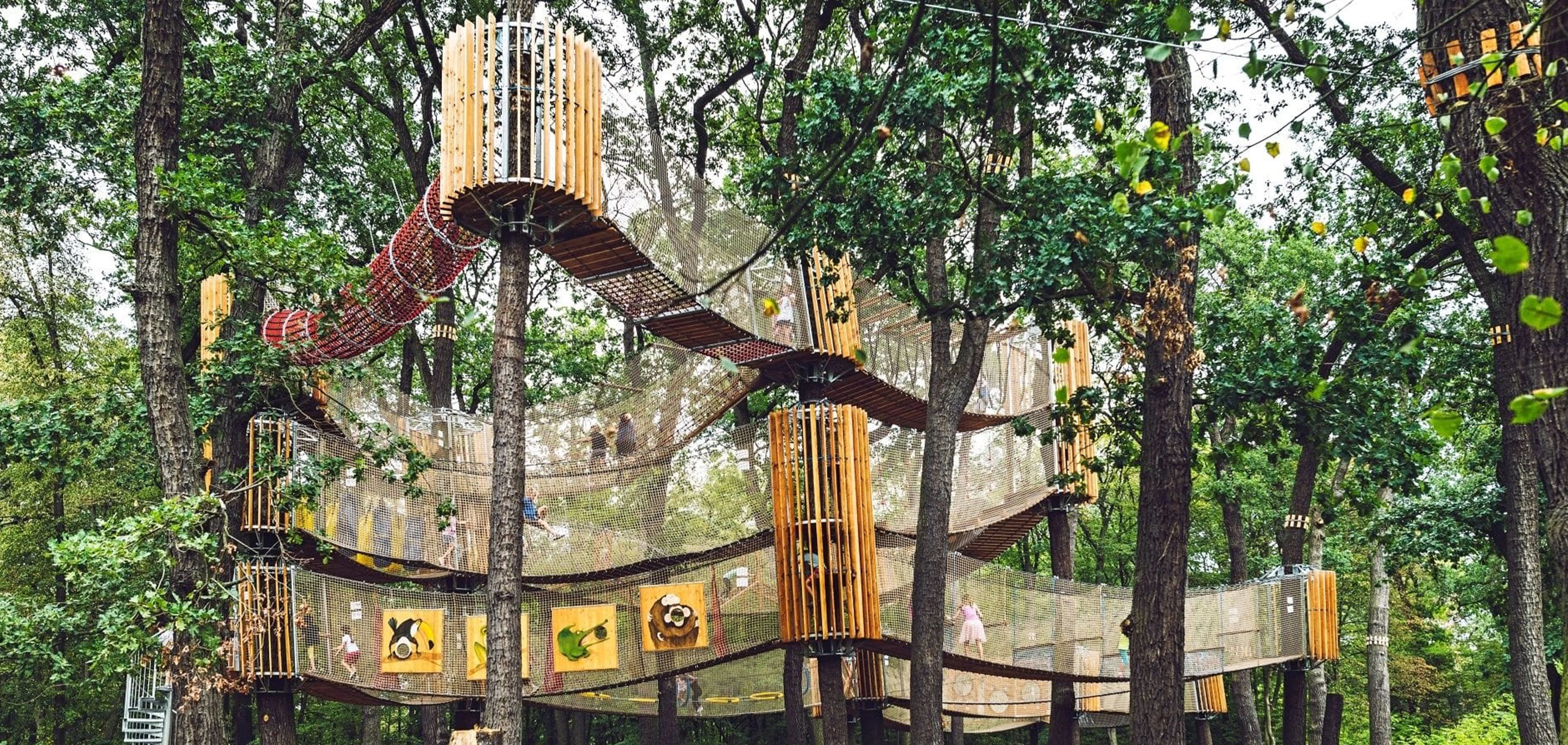 Continuous innovation and efforts