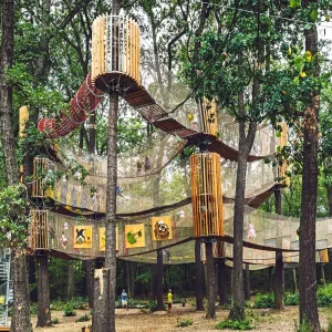 High-Altitude Viewing Magic Net Matrix for Aerial Jungle Experience