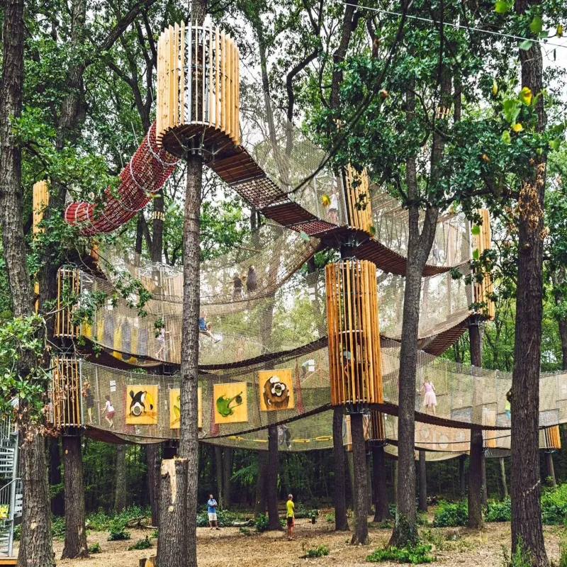 High-Altitude Viewing Magic Net Matrix for Aerial Jungle Experience