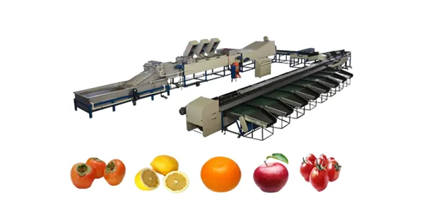 Fruit Processing Machine