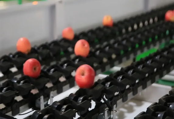 Cost Effective Thermoforming Machine for Packaging Plants
