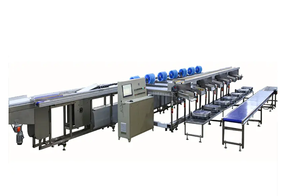 Thermoforming Machine for Plastic Packaging Automation Systems