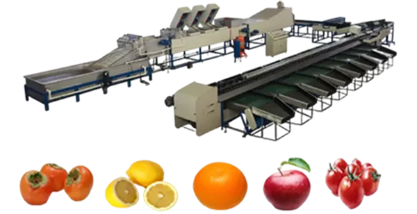 Fruit Processing Machine