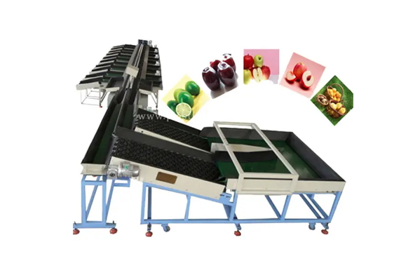 Thermoforming Machine for Plastic Packaging Material Processing
