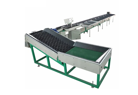 Industrial Thermoforming Machine for Plastic Tray Production